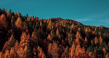 herbstfarben-alta-badia